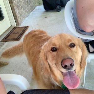 Meet your Posher, Travis